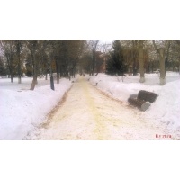 Зимняя прогулка в парке Ртищево